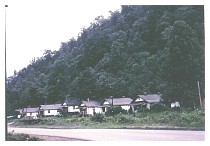 black star houses.jpg